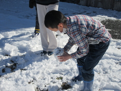 雪