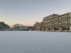 雪