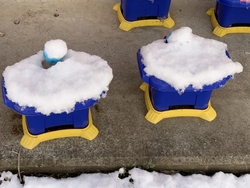 雪