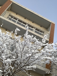 雪