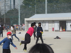 ボール