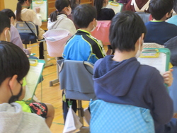 たいけん