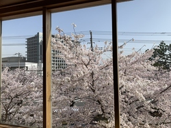 はな