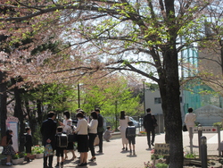 入学式