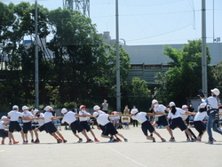 運動会