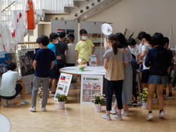 トーチ5
