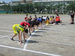 部活動対抗リレー女子の部のスタートの写真