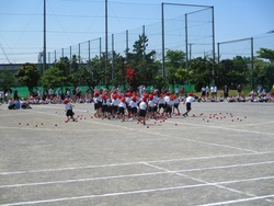 玉入れ