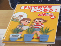五年生