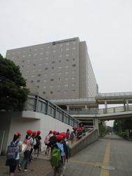 六月十七日