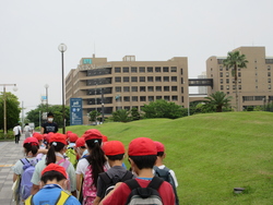 六月十七日