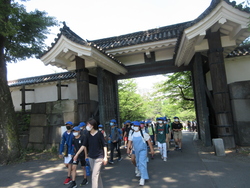 国会見学