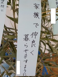 七夕6
