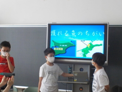 愛媛4