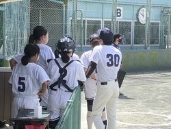 総合体育大会ソフトボール