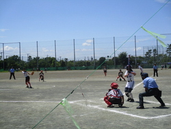 総合体育大会ソフトボール