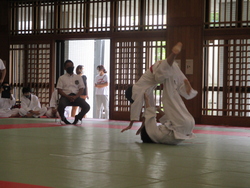 総合体育大会柔道大会
