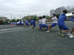 綱引き