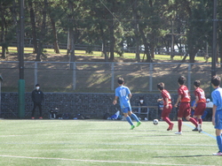 サッカー新人大会決勝