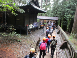 日光5