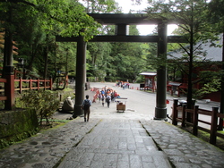 日光6