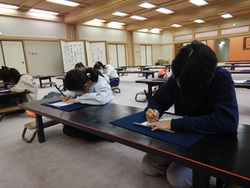 日光7
