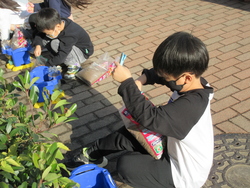 十一月二十二日