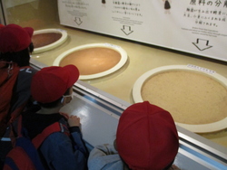 発酵の過程