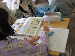 一月二三日