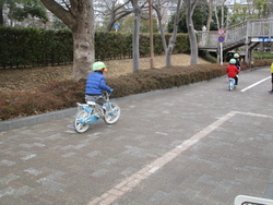 た3