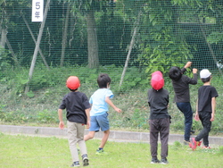 五月一一日