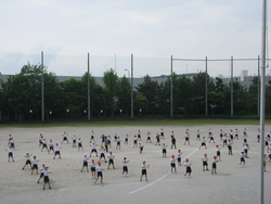 五月一五日