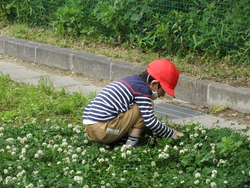 五月一五日