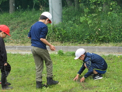 五月一五日