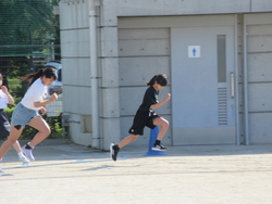 五月一六日