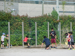 五月一六日