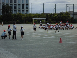 5月2週