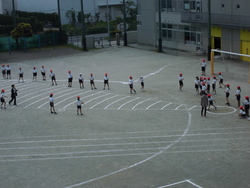 5月2週