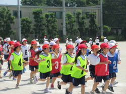 五月一七日