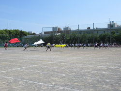 美浜演武団による演武の写真