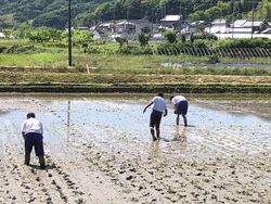 自然教室1日目