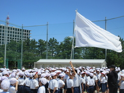 五月二四日