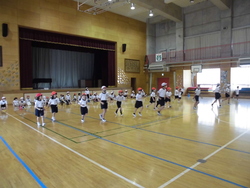 5月3週