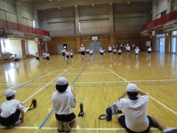 5月3週