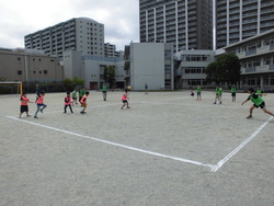 5月3週