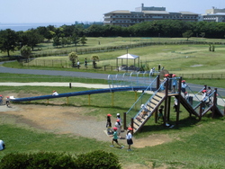 5月4週
