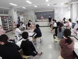 5月4週