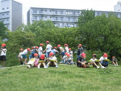 6月1週