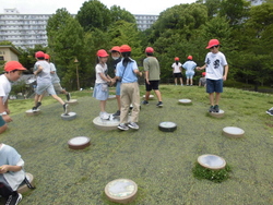 6月1週