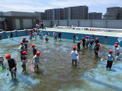 6月2週